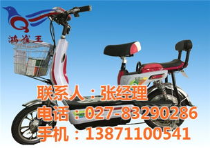 鸿雀王电动车 实力认证的品质制造商