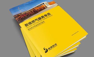 匠心设计，彰显品质 涂料行业画册印刷与图文设计的专业之道